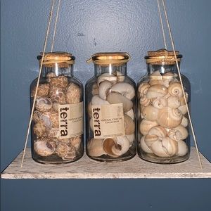 Decorative Seashells in a jar